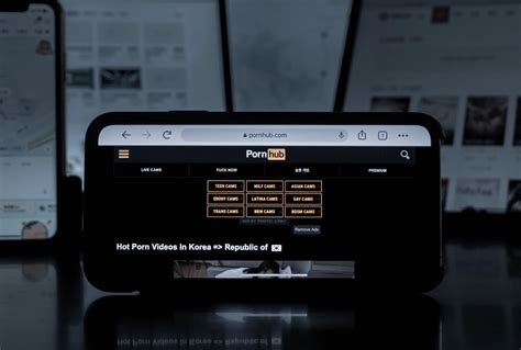 pornhub cat|Pornhub Officially Blocks Users in Another State .
